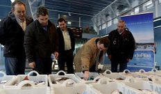 Juan Maneiro, durante el proceso de etiquetado.