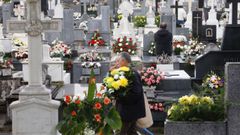 D�a de Santos en el cementerio de San Froil�n