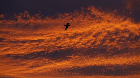 Atardecer en Viveiro.