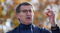 El presidente del Partido Popular, Alberto N��ez Feijoo, en la manifestaci�n en contra de la ley de amnist�a del pasado domingo.