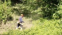 Imagen de archivo de un operario desbrozando