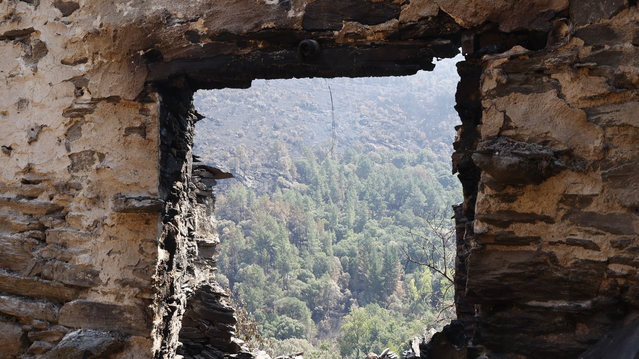 Galicia tras el fuego: reconstrucción y memoria