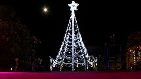 The Garden Molleda, decorado para las navidades