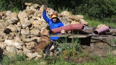 Momento en que la perra Anka, de la Asociacin Cans Salvamento Galicia, localiza a la persona escondida bajo los escombros.