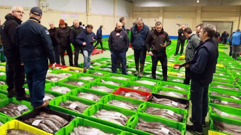 Abundante, la merluza de volanta cotiz� en Celeiro el 5 de marzo del 2026 a medias de entre 1,8 y 2,1 euros el kilo para todas las capturas de los tres barcos que vendieron. 