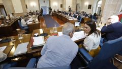 La presidenta de la Diputaci�n de Lugo, Carmela L�pez, en el pleno provincial de este martes 26 de mayo