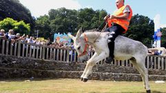 Todas las fotos de la carrera de burros de Escairn 2024