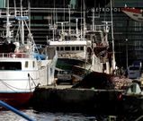 Los armadores proponen redistribuir las cuotas (en la foto, barcos de Gran Sol en Vigo).