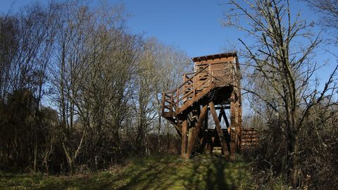 Mirador de observacin de aves, en Cospeito