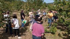 Frutos de San Sadurni�o