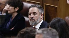 El l�der de Vox, Santiago Abascal, este mi�rcoles en el Congreso.