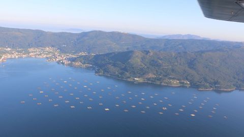 Vista a�rea del pol�gono de bateas de Muros-Noia