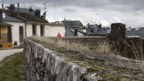 Las malas hierbas crecen en todos los rincoles de la Muralla, a la espera de que las corten