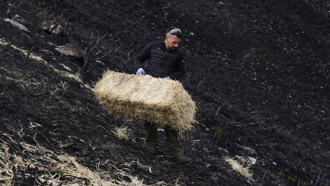 Voluntarios protegen los montes afectados por los incendios forestales en Vilamart�n de Valdeorras
