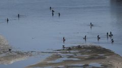 Imagen de archivo de mariscadores legales en la ría de A Coruña
