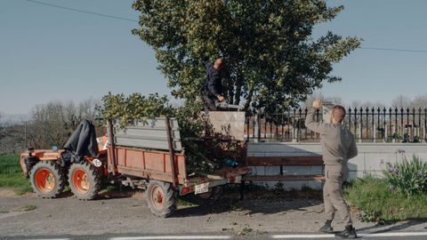 Taller de ramos en Corvill�n