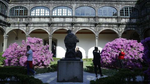 Azaleas en el jard�n del claustro del pazo de Fonseca, en Santiago