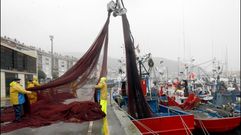 Cerqueros en el puerto de Viveiro, ayer, preparando el aparejo.