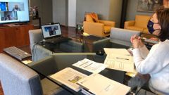 Reuni�n por videoconferencia de la conselleira y el alcalde de Cortega