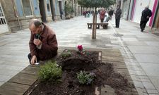 En Rey Davi�a un m�s que visible hueco delata el lugar del que fue arrancado un arbusto. 