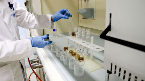 Pruebas en un laboratorio f�sico-qu�mico.