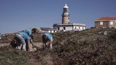 La iniciativa se desarroll en las inmediaciones del faro de Corrubedo