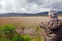 Las<span lang= gl > bra�as</span> est�n llenas de caminos hechos por los jabal�es.