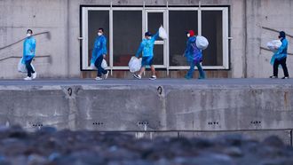 Pasajeros del Hondius desembarcando en Granadilla de Abona