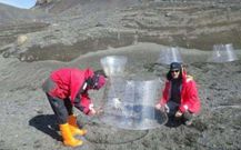 Los investigadores de la Universidad viguesa desarrollan un proyecto sobre algas en la isla Decepci�n. 