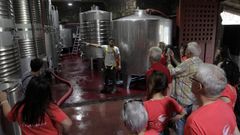 Un grupo de turistas en una visita a la bodega Finca Mllara, en el municipio de Pantn