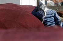 Un hombre descansa durante una concentraci�n en Tragove por el reparto de cuotas.