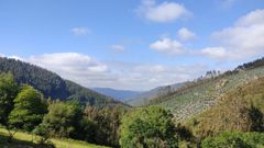 Terrenos de la parroquia de A rrea (Riotorto), donde funciona la sofor Monte de Candedo.