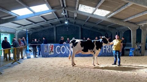 Imagen de la subasta celebrada en el 2022