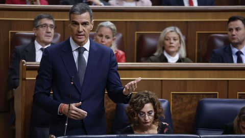 El presidente del Gobierno, Pedro S�nchez, interviene en la sesi�n de control al Ejecutivo celebrada este mi�rcoles en el Congreso.