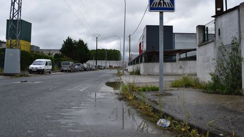 Maleza y suciedad en la calle principal del polígono