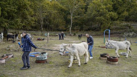 El programa terap�utico tiene una duraci�n de unos dos meses con una periocidad semanal