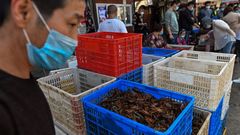 Imagen de un mercado h�medo en Wuhan