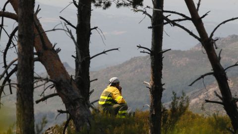Un brigadista observa la evolución de unl incendio 