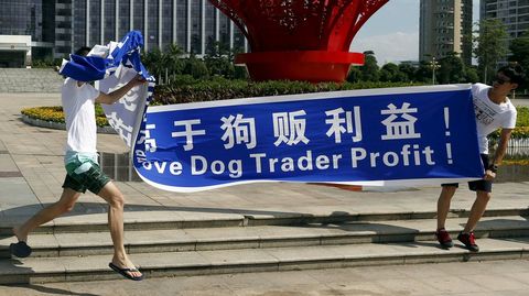 Protestas de varios activistas. 