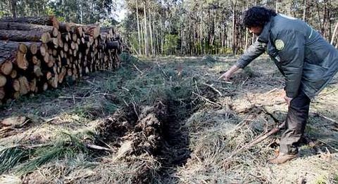 La polmica intervencin se llev a cabo en un rea protegida por su valor arqueolgico.