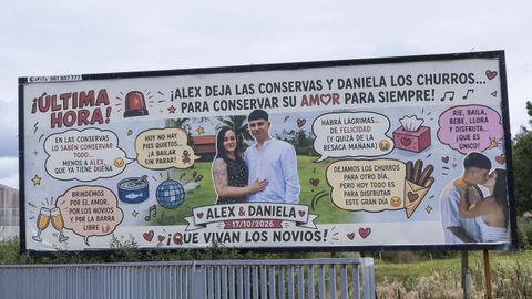 El logrado cartel, con fotos y dibujos, est� situado en la transitada Avenida Malpica.