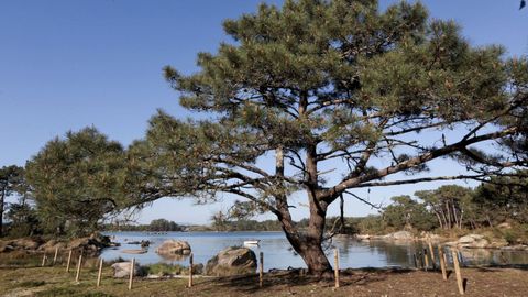 La gu�a recoge algunos secretos de las 75 playas isle�as.