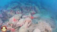 Imagen del pecio con las alforjas en el fondo del mar