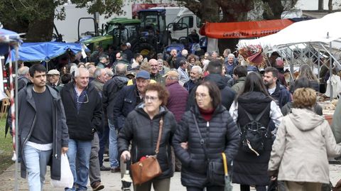 Imagen de la �ltima edici�n de la Feira Cabalar de Teo, que re�ne cada a�o a millares de visitantes