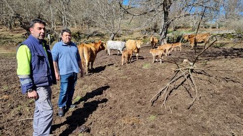 Luis y Secundino Domnguez, con parte de las cabezas de ganado que sern sacrificadas.