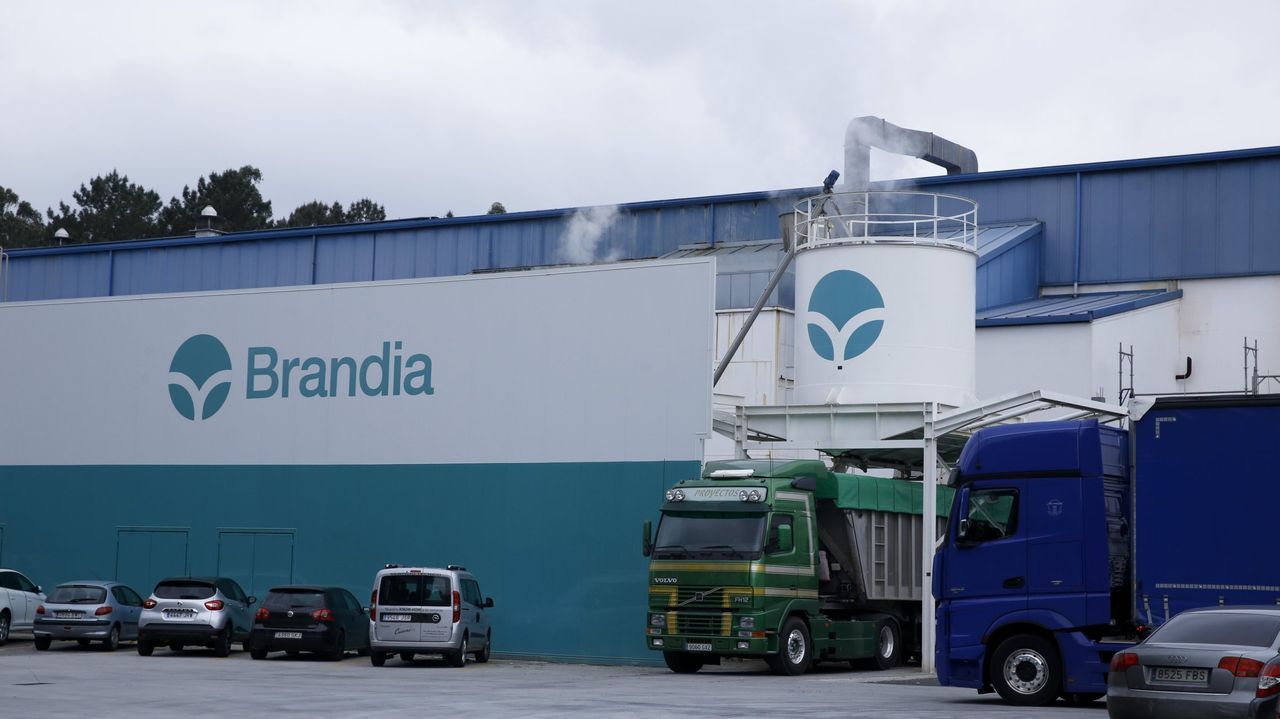 La Galicia de las empresas centenarias: son 12 de las 350 que hay en España