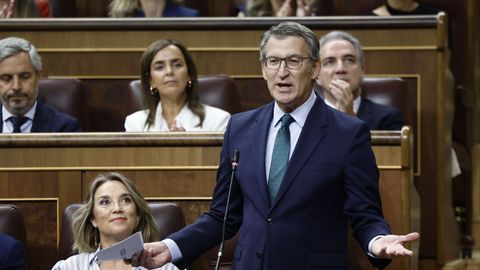  El presidente del PP, Alberto Nez Feijoo, interviene en la sesin de control al Gobierno.