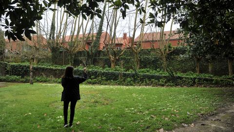 Tatiana Rodilla explica que los �rboles est�n catalogados y no se pueden tocar