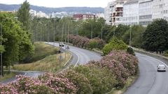 Imagen actual de la avenida de As P�as de Ferrol