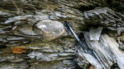 El canto rodado de piedra caliza que se ve a la izquierda del bolgrafo fue acarreado por un iceberg en el perodo Ordovcico y est empotrado en una formacin de pizarra en el lugar de Souto, en el municipio de Ribas de Sil